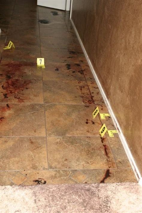 Morbitbuzz The Crime Scene It S A Bloody Mess