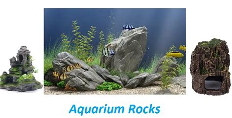 15 Best Freshwater Aquarium Rocks Reviewed In Land Aquatics