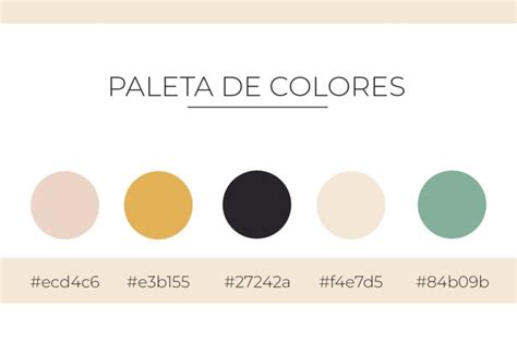 Cómo Elegir La Paleta De Colores Adecuada Para Tu Marca Creativos Online