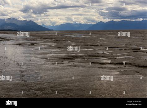 Cook Inlet Hi Res Stock Photography And Images Alamy