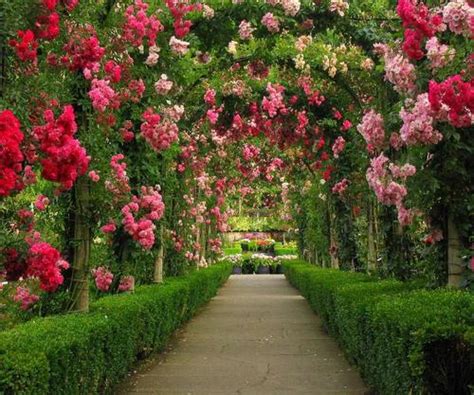 Check spelling or type a new query. Romantic Flowers: Rose Garden