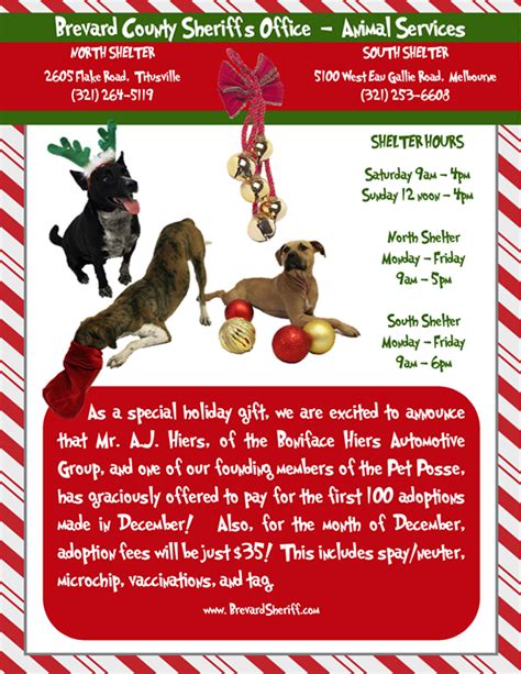 Spin to randomly choose from these options: Sheriff's Office Promotes Holiday Pet Adoption