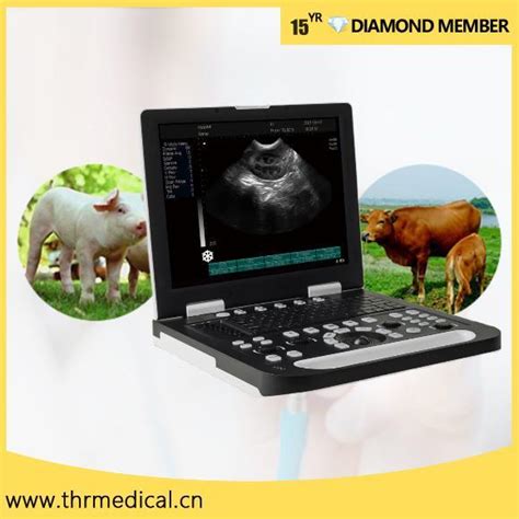 Medical Pig Pregnancy Ultrasound Machine Portable Veterinary Animals