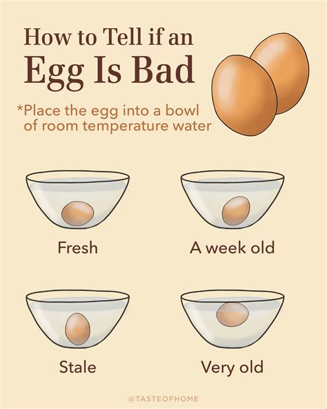 Top 6 How To Tell Eggs Bad