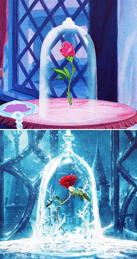 The Rose She Had Offered Was Truly An Enchanted Rose Which Would Bloom