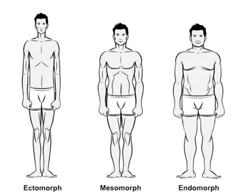 5 Tipos De Cuerpo Masculino Según Su Tipología Stylermx