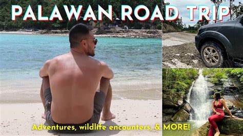 Exploring The Hidden Gems Of Palawan Best Philippine Roadtrip Puerto