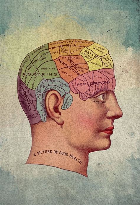Vintage Human Anatomy Victorian Brain Print Medical Science Etsy