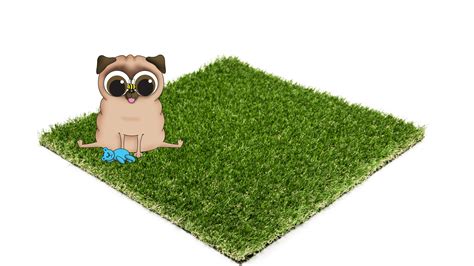 A real grass dog toilet is good for your pup, good for the environment and good for your budget and you can make one for less than $20! Best artificial grass for dogs - Top Dog Turf