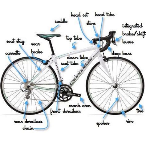 Parts Of The Bike Labeled Cycling For Beginners Bicycle Bicycle