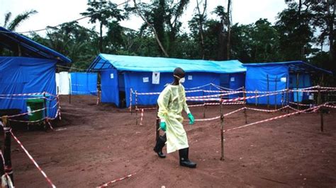 why ebola keeps coming back bbc news