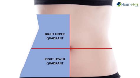 If a person is worried by the cutting pains in the lower abdomen on the right, the first thing he usually does is drink tablets with analgesic effect and call an ambulance. Right Side Abdominal Pain - Cause and Organs | معلومة Ten