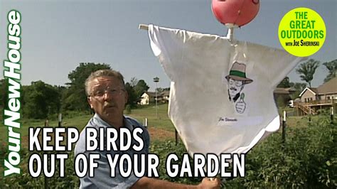 Keep Birds Out Of Your Garden The Great Outdoors Youtube