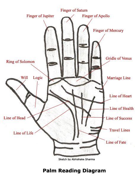 Palm Reading Chart Learn Palm Reading Basics And How The Palm Reading