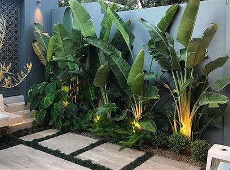 Jika ada sedikit saja sisa lahan, habiskan untuk taman. 13 Gambar Taman Kecil Belakang Rumah, Bisa Dimanfaatkan ...