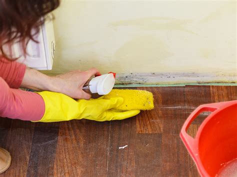 How To Get Rid Of Mold The Ultimate Guide Neighbor Blog
