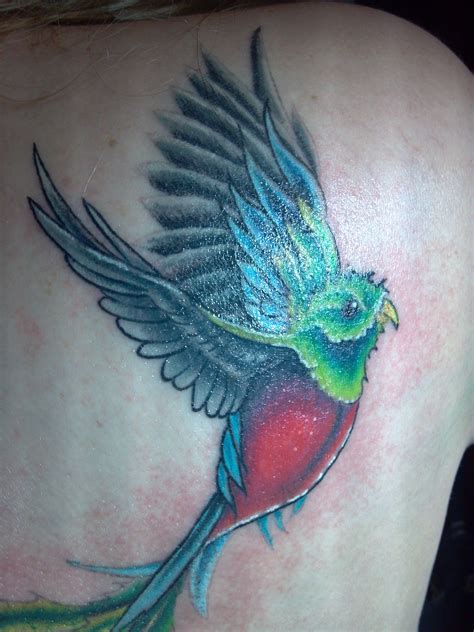 quetzal tattoo freedom national bird of guatemala i love how this tattoo is flying would