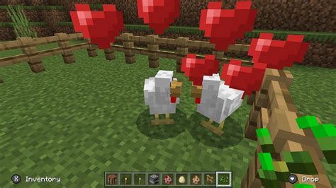 Breeding Chickens In Minecraft Everything You Need To Know