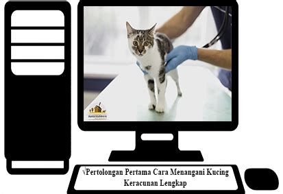 Yup, ini adalah gangguan pada tekanan darah yang bisa berakibat fatal bila tidak segera memperoleh penanganan yang tepat. √Pertolongan Pertama Cara Menangani Kucing Keracunan Lengkap