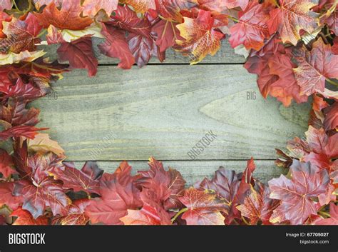 Autumn Leaves Border Rustic Wooden Image And Photo Bigstock
