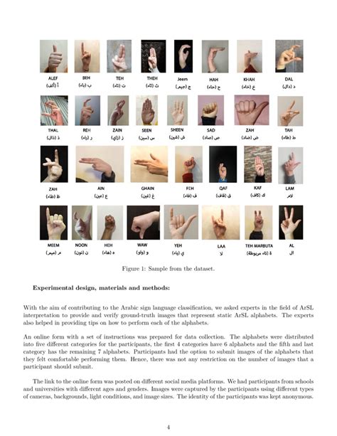Rgb Arabic Alphabets Sign Language Dataset Deepai