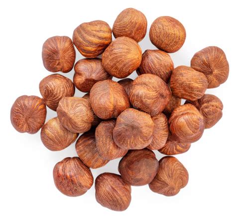 Hazelnuts Isolated On White Background Hazelnut Macro Stock Image