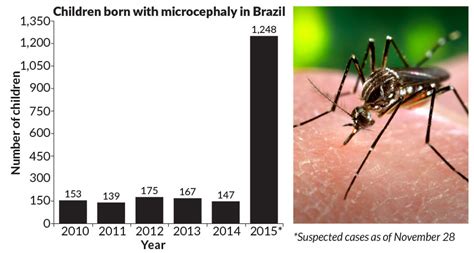 Virus Spread By Mosquitoes Linked To Rare Birth Defect Science News