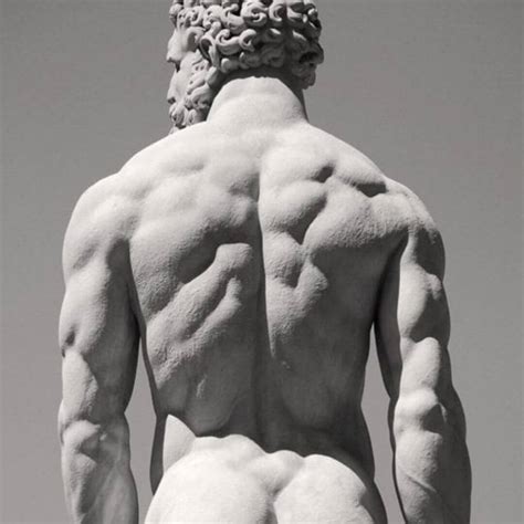 Greek God Body How To Sculp An Aesthetic Physique By The Numbers Nutritioneering Vlr Eng Br