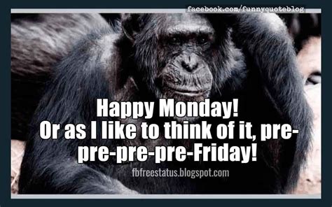 An Image Of A Monkey Saying Happy Monday Or As I Like To Think Of It