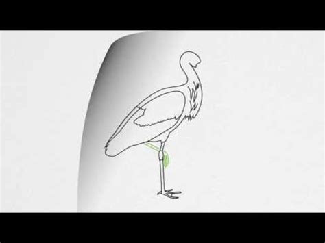 How To Draw A STORK Step By Step YouTube How To Draw Anything Art Lessons Drawings