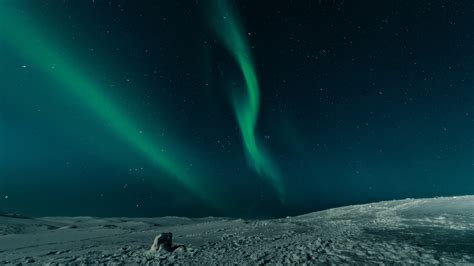 When To See The Northern Lights In Swedish Lapland