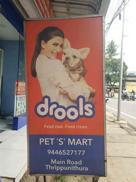 Does Petsmart Express Dogs