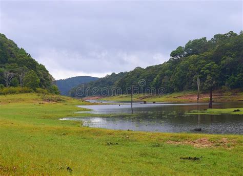 Periyar Lake With Greenery And Forest In Rainy Season Idukki Kerala