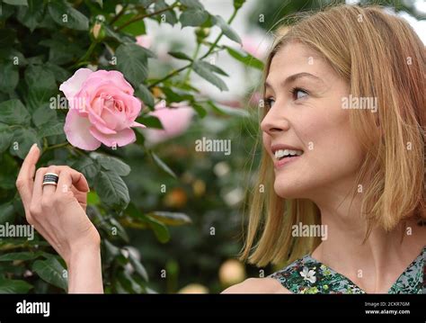 Rosamund Pike Actress High Resolution Stock Photography And Images Alamy