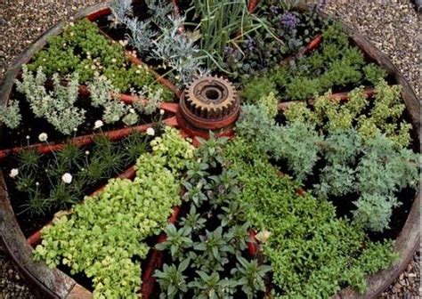 Growing a small vegetable garden is like living in a small house: Small vegetable garden ideas - how to plan and design them?