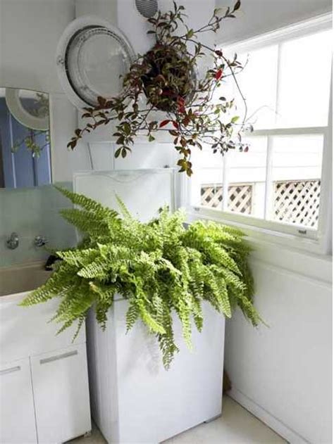 20 Laundry Room Ideas To Spruce Up Small Spaces With Color And Good
