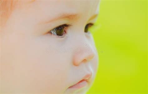 Portrait Of Little Baby Concept Of Kids Macro Cropped Face Close Up