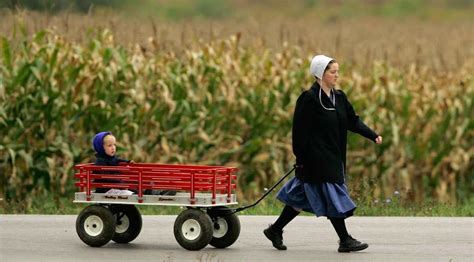 The Amish 10 Things You Might Not Know Amish Amish Culture Amish