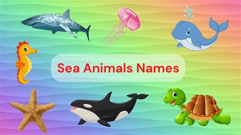 Learn Aquatic Animal Names Sea Animals Names For Kids Kidzone