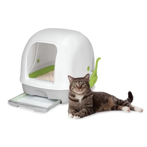 9 Best Sifting Litter Box For Pine Pellets 2023 Review