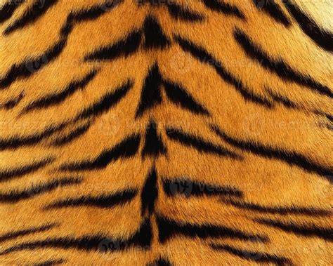 Tiger Skin Pattern Texture Repeating Monochrome Texture Animal Prints