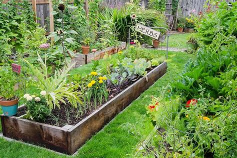 The Ultimate Guide To Edible Landscaping Must Read Edible Landscaping