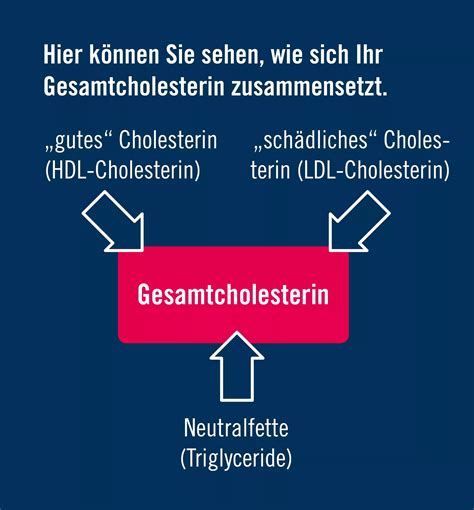 Gutes (HDL) & schlechtes (LDL) Cholesterin – Unterschiede verstehen