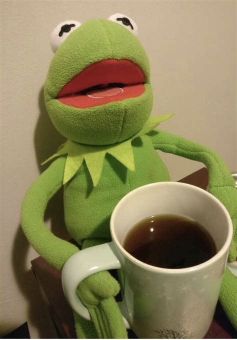Funny Kermit Memes Cute Memes Kermit  Sapo Kermit Reaction