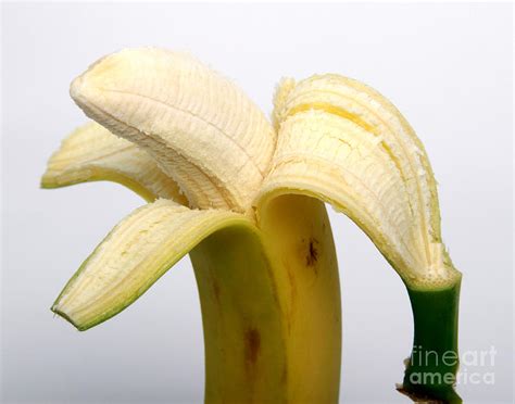 Peeled Banana Photograph By Photo Researchers Inc Pixels