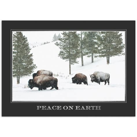 Card Bison Paper Paper And Party Supplies Jan