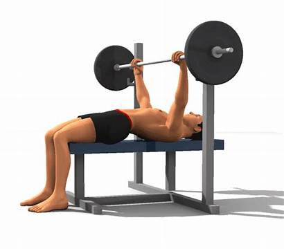 Press Bench Chest Workout Straight Fitness Workouts