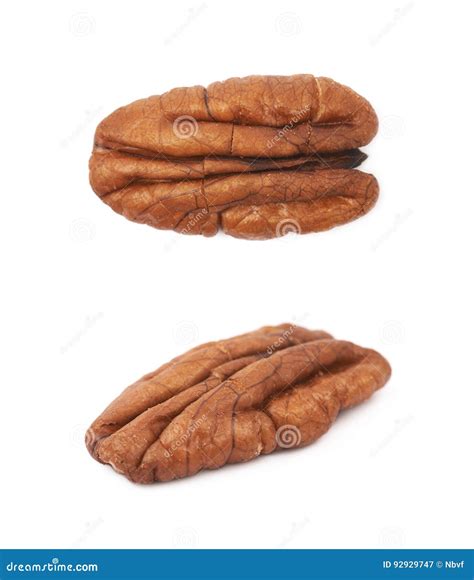 Single Pecan Nut Isolated Stock Image Image Of Object 92929747