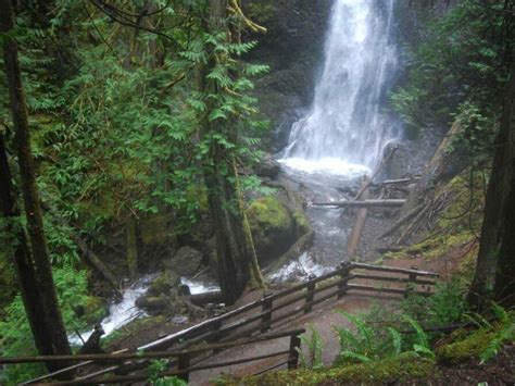Top 5 Hikes For A Rainy Day In Olympic National Park Domaine