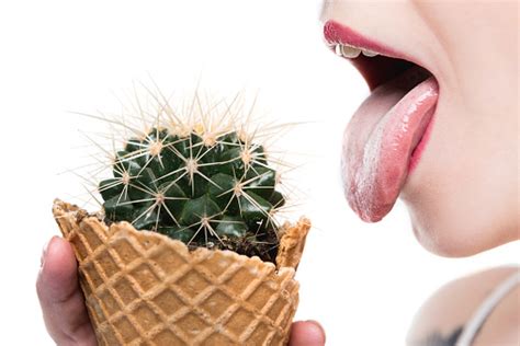 Cropped Shot Of Young Woman Licking Cactus In Waffle Cone Isolated On